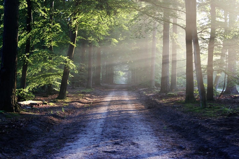 Fantasy Paths